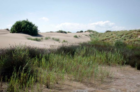 Paisatge de la desembocadura de l'Ebre