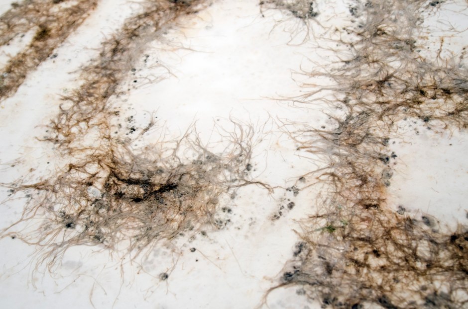 monicafuster_2013_07_15_005