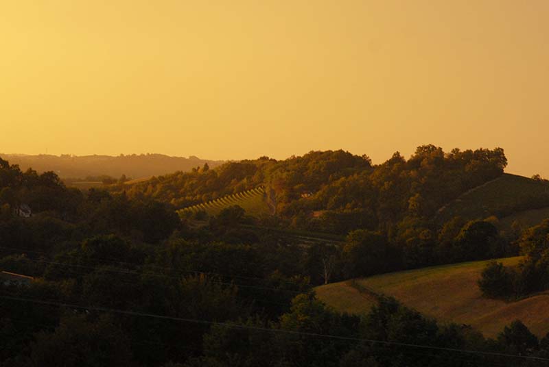 El paisatge de Bearn. © Fotografia de Carles Domènec